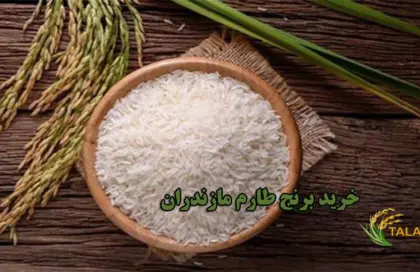 خرید برنج طارم مازندران