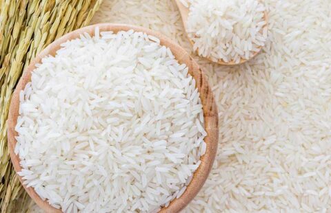 برنج امراللهی کشت دوم مازندران