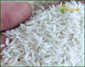 روش تشخیص برنج طارم اصل