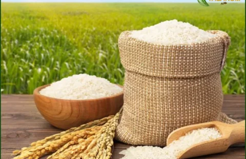 قیمت برنج ایرانی به همراه معرفی کامل