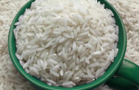 خرید برنج عنبر بو در مازندران