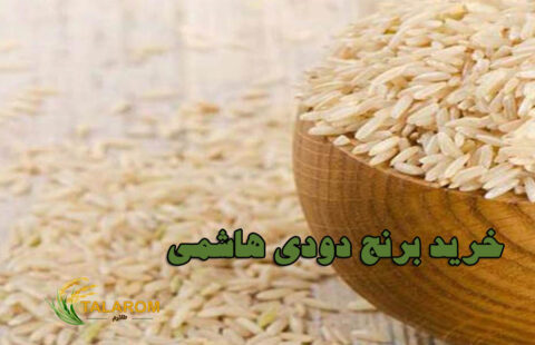 خرید برنج دودی هاشمی مازندران