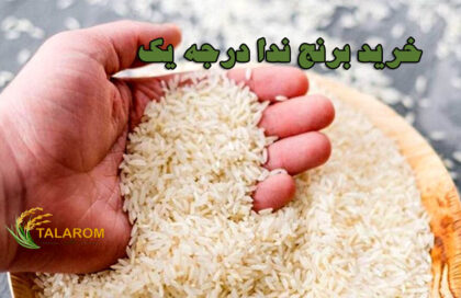 خرید برنج ندا مازندران (درجه یک)
