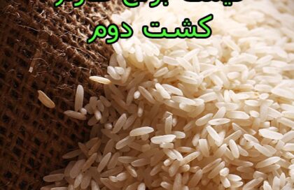قیمت برنج طارم کشت دوم