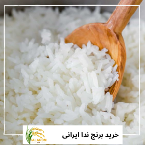 خرید برنج ندا ایرانی