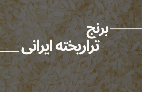 برنج ایرانی تراریخته