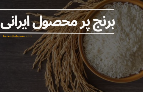 برنج پرمحصول ایرانی