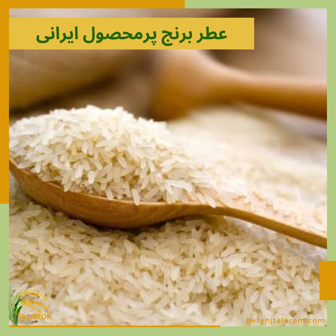 عطر برنج پر محصول ایرانی